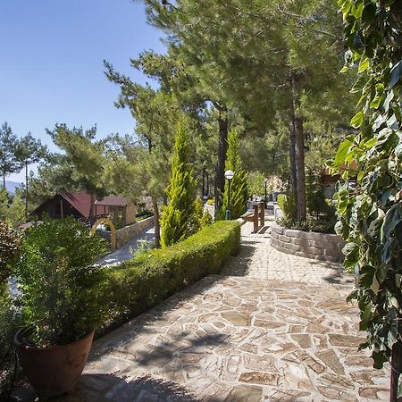Ricky Chalet Near Troodos Spilia Exteriér fotografie