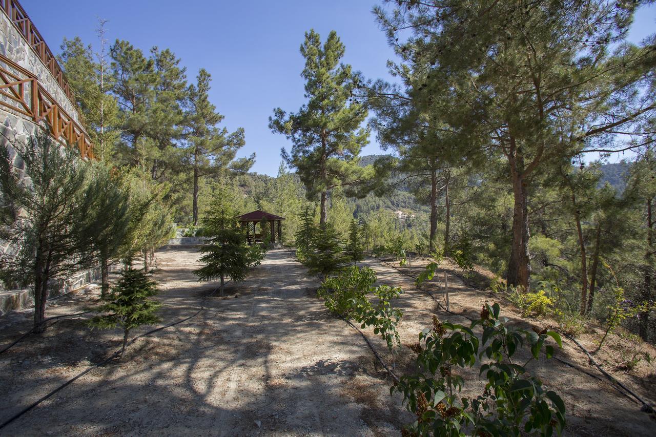 Ricky Chalet Near Troodos Spilia Exteriér fotografie