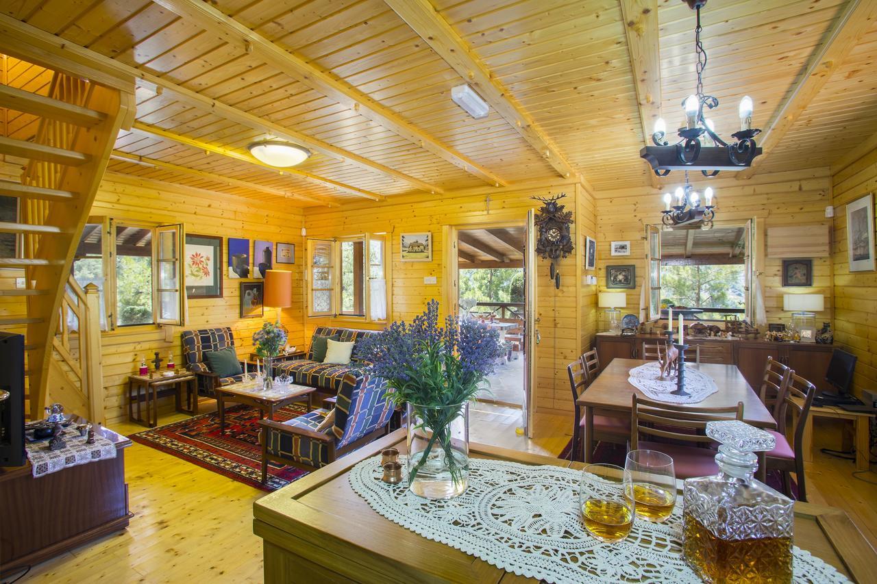 Ricky Chalet Near Troodos Spilia Exteriér fotografie