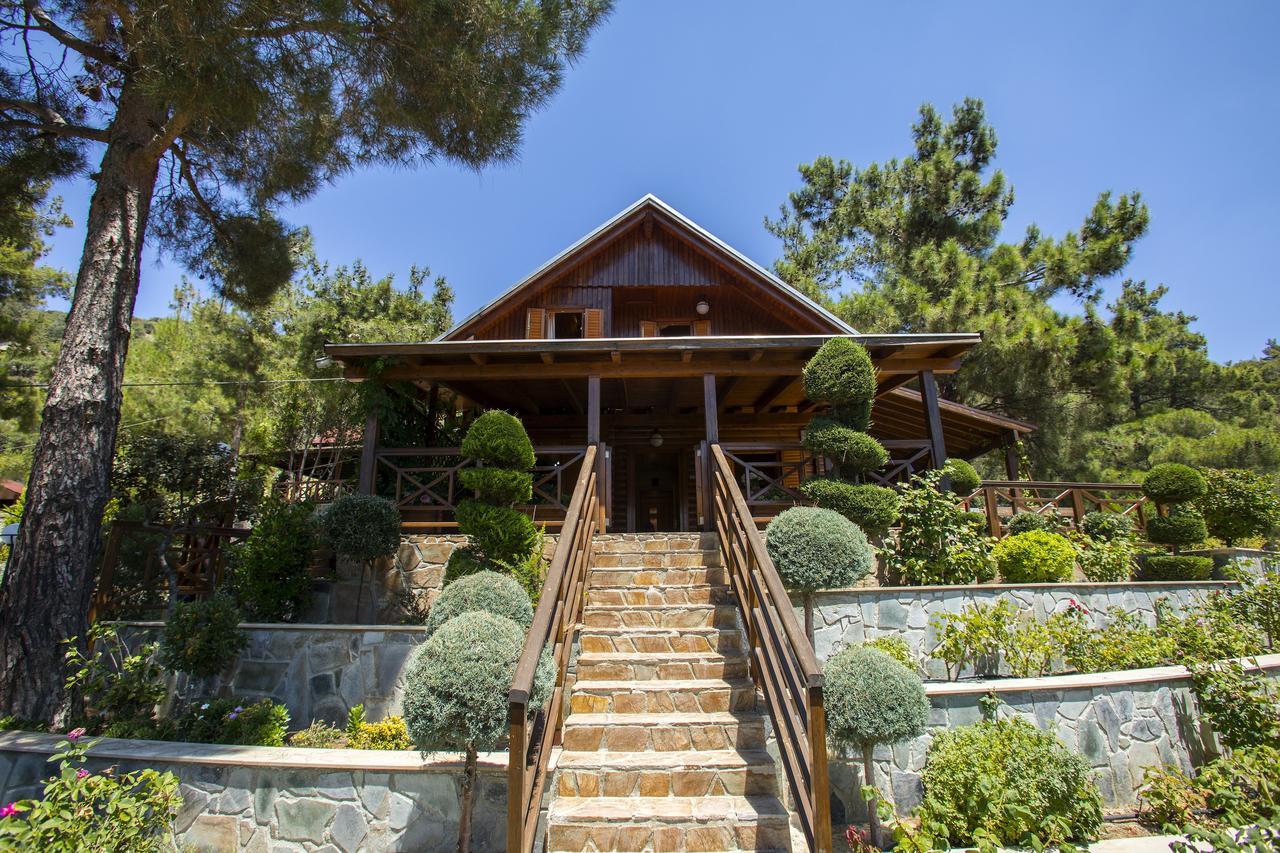 Ricky Chalet Near Troodos Spilia Exteriér fotografie