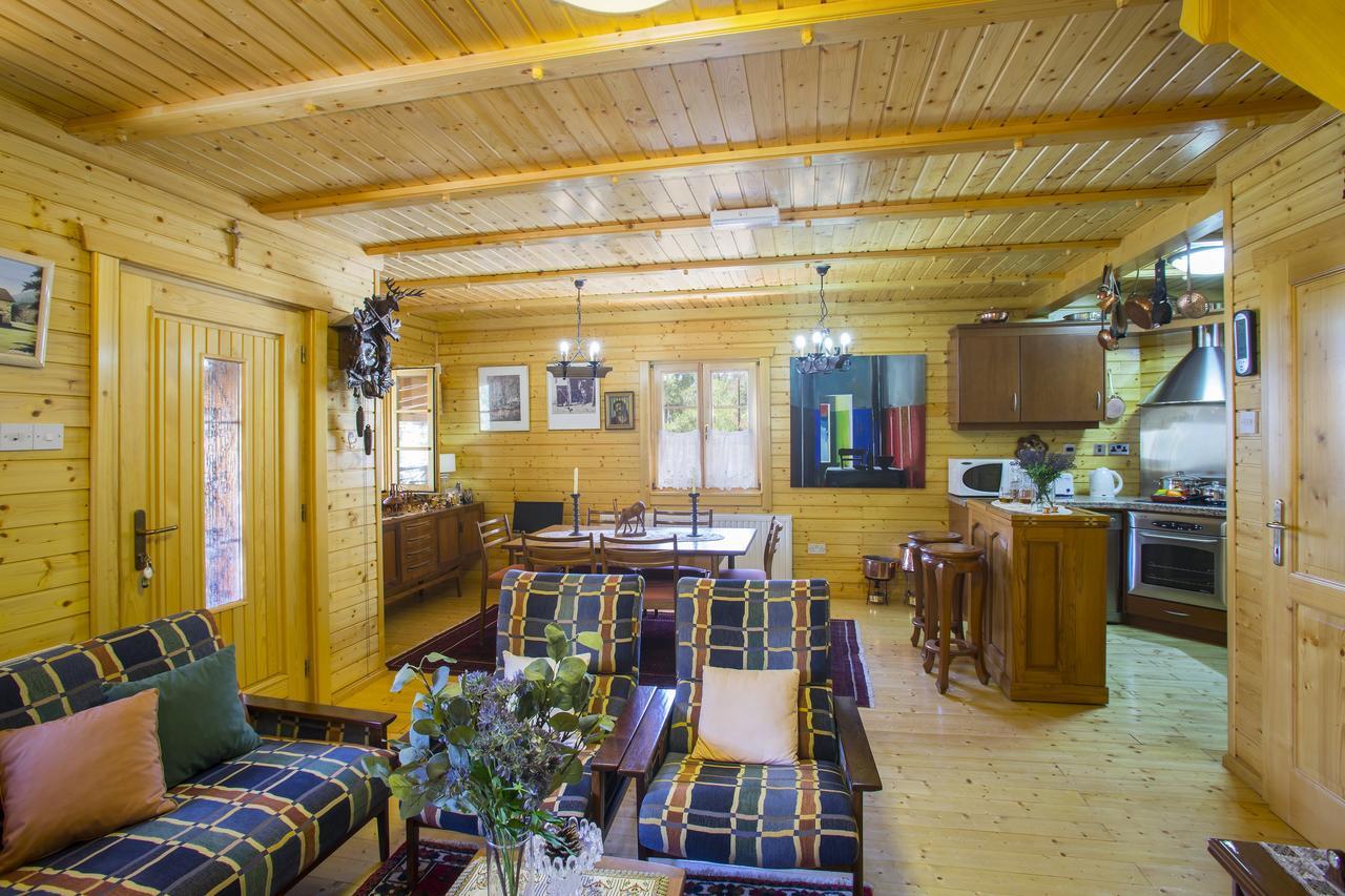 Ricky Chalet Near Troodos Spilia Exteriér fotografie
