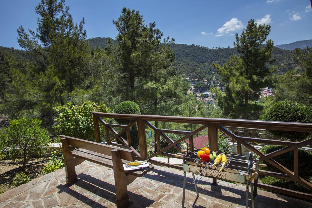 Ricky Chalet Near Troodos Spilia Exteriér fotografie
