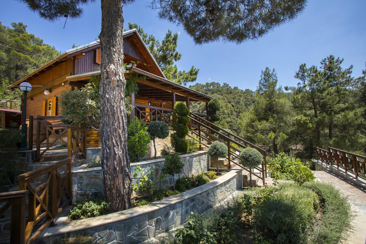 Ricky Chalet Near Troodos Spilia Exteriér fotografie
