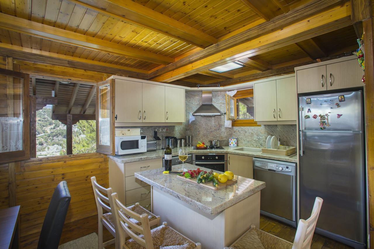 Ricky Chalet Near Troodos Spilia Exteriér fotografie
