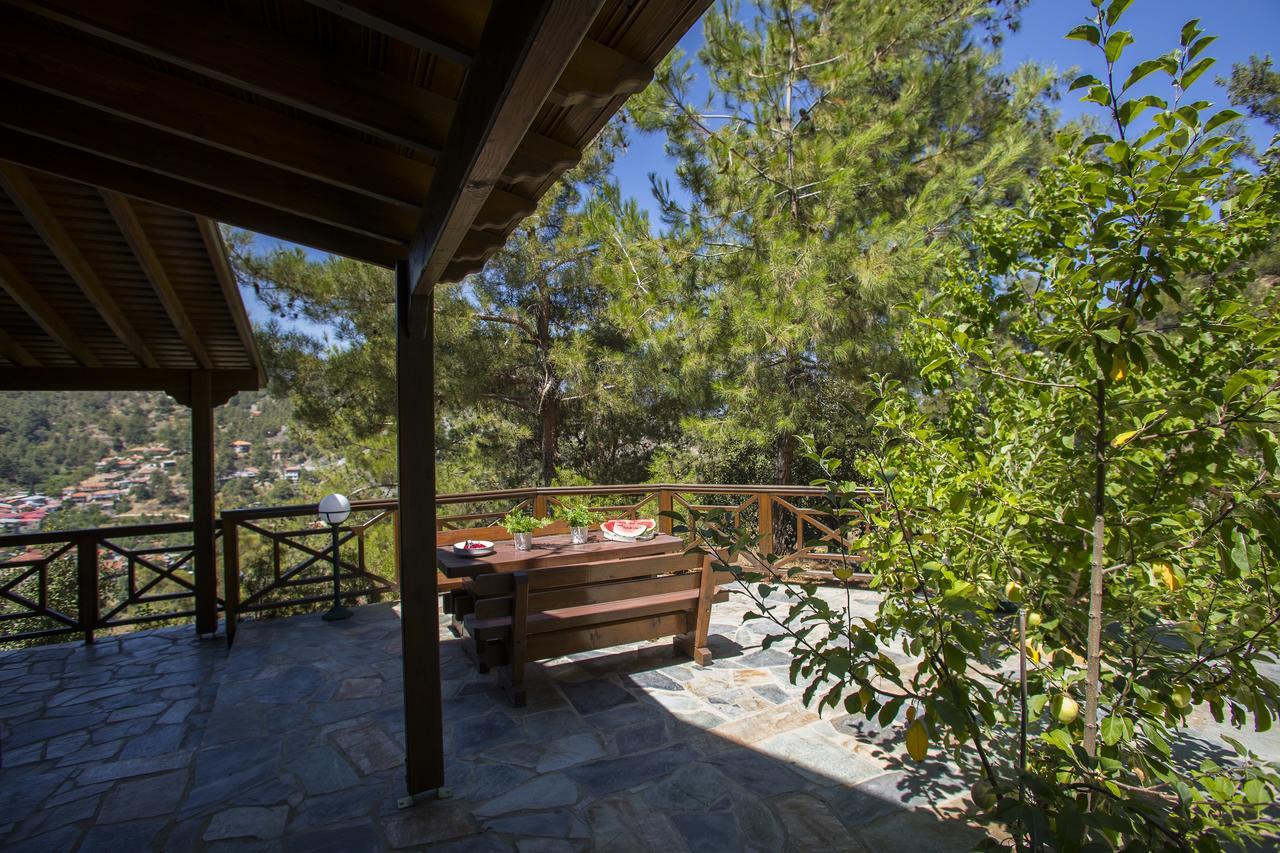 Ricky Chalet Near Troodos Spilia Exteriér fotografie
